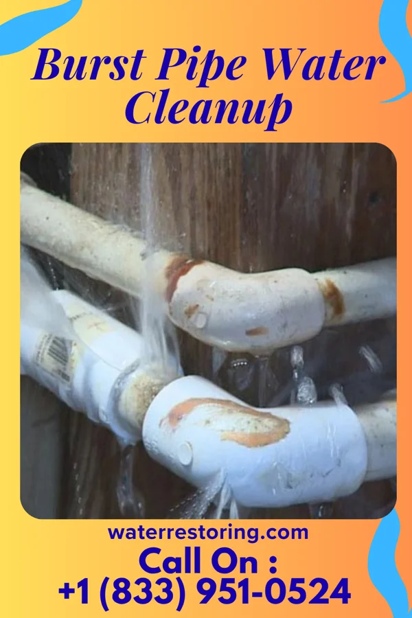 Burst Pipe Water Cleanup in Stormstown, PA