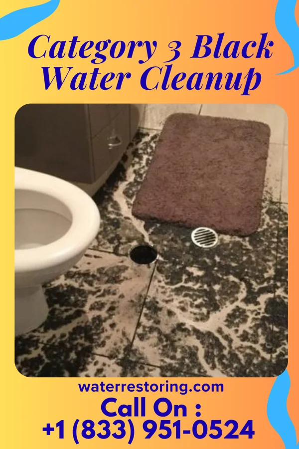 Category 3 Black Water Cleanup in Stormstown, PA