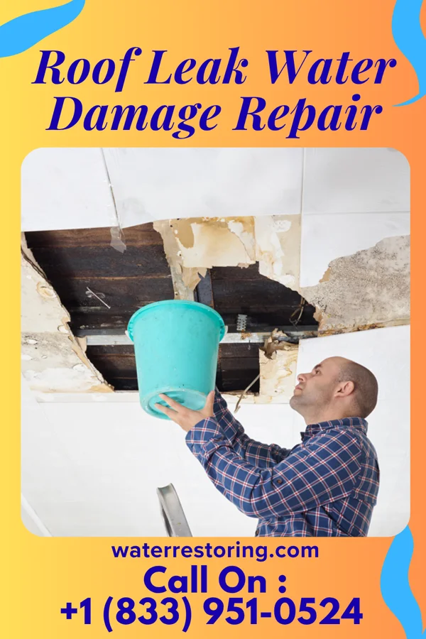Roof Leak Water Damage Repair in Stormstown, PA