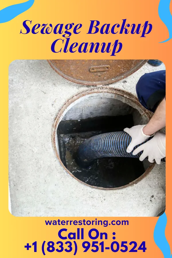 Sewage Backup Cleanup in Stormstown, PA