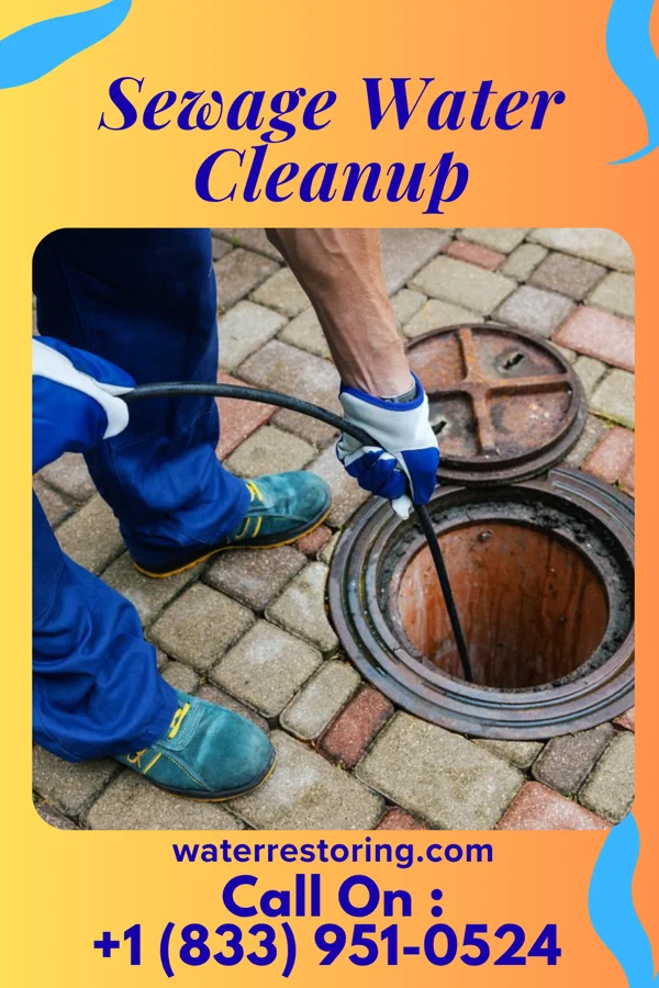 Sewage Water Cleanup in Stormstown, PA