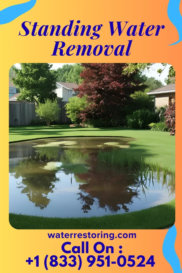 Standing Water Removal in Stormstown, PA